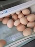 1号会员店富硒鲜鸡蛋30枚 源头直发 净重3斤 实拍图