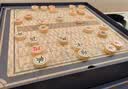 奔尼多功能棋盘儿童玩具男孩3-6岁生日礼物多合一象棋五子棋飞行棋 实拍图