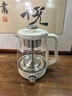 金灶（KAMJOVE）煮茶器 喷淋式煮茶玻璃养生花茶壶 电热水壶煮茶壶1L蒸茶器A-57 摩登白 1L 实拍图