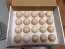 1号会员店One's Member叶黄素可生食标准鲜鸡蛋 20枚 单枚55g 源头直发 实拍图