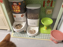 霍曼（Homerun）霍曼Real智能自动喂食器猫粮定时猫咪自动投食器PF20（配陶瓷碗） 实拍图