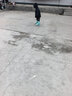 斯威（SWAY）轮滑鞋儿童溜冰鞋男女童初学套装中小学滑轮滑冰旱冰鞋成人直排轮 登绿八轮全闪+一体支架+大礼包 M (适合6-12岁)平时鞋码31-36 实拍图