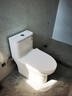 九牧（JOMOO）11173-2-1/31KD-3大力神家用马桶虹吸抗菌节水洁具305坑距 实拍图
