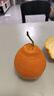 生活＆好管家 四川春见耙耙柑新鲜水果应季橘子现摘孕妇水果整箱桔子橘子 优选级市场果 8.5-9斤【单果80mm+】净重8斤 实拍图