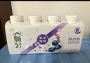 伊利畅轻低温酸奶 生牛乳 原味紫米爆珠风味发酵乳250g*4 酸牛奶 实拍图