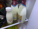 每日鲜语【肖战推荐】4.0g原生蛋白质鲜牛奶1L巴氏杀菌鲜奶定期购 实拍图
