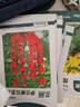 北蔬菜种子大全黄瓜西红柿草莓生菜辣椒种籽 [家庭种]13种蔬菜种子 实拍图