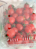 广西新鲜千禧圣女果小番茄现摘现发多汁水果适合孕妇食用 1斤 实拍图