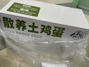 九華粮品散养土鸡蛋40枚 净重3斤 农家柴鸡蛋 笨鸡蛋 月子蛋 实拍图