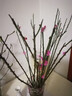 花翁水培鲜枝鲜花干枝花卉植物盆栽 红梅鲜枝【70-80cm20枝】源头直发 实拍图