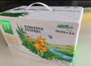 伊利金典纯牛奶整箱 200ml*24盒 3.6g乳蛋白 原生高钙 年货礼盒装 实拍图