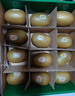 佳沛（zespri）意大利 阳光金奇异果12粒年货礼盒特大果单果约122-146g 猕猴桃 实拍图