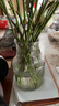 吕姆克玻璃花瓶富贵竹玫瑰百合满天星透明花器干花插花瓶客厅装饰5326 实拍图