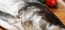 鲜喜爱 冷冻千岛湖有机鳙鱼头1.5斤花鲢鱼头胖头鱼 生鲜鱼类 海鲜年货 实拍图