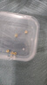 洲足金999金珠黄金小金珠金豆古法金珠DIY配件散珠隔珠路路通转运珠 3mm金珠  合单满 0.16g 包邮 多颗混发约0.05g 实拍图