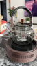 茗光煮茶壶电陶炉煮茶器蒸煮一体茶壶烧水煮茶炉养生壶2025年新款 实拍图