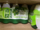 优乐多乳酸菌饮品 青提栀子花味 益生菌早餐酸奶 100g*20瓶 饮料 实拍图