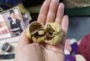 蜀疆情 2025年新货 新疆185纸皮核桃手剥原味生干核桃阿克苏特产 新疆纸皮核桃3斤装 实拍图