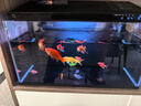 米家（MIJIA）小米米家智能生态鱼缸+画法几何配套加热棒 实拍图