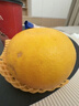 京鲜生 爆汁黄金葡萄柚 净重5斤 单果300g起 生鲜年货水果    实拍图