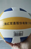 红双喜5号排球学生专用中考初中生训练比赛排球充气软式沙滩球FV518-1 实拍图