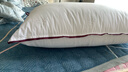 水星家纺枕头枕芯酒店枕头护颈枕头芯家用一对纯棉抗菌可水洗高枕48x74cm 实拍图