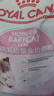 皇家幼猫奶糕 幼猫猫粮 BK34 通用粮 1-4月 2KG 实拍图