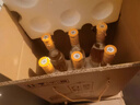 景芝 白乾老字号 高度白酒 52度500ml*6瓶 整箱装 热门商品 实拍图