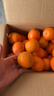 玖原农珍 赣南脐橙新鲜橙子含箱10斤净重9斤优选果150-300g 年货水果礼盒 实拍图