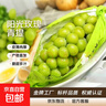 阳光玫瑰葡萄晴王青提香水提子山西新鲜水果一斤也是批发价 带箱5斤大果【单果克重10g-20g】（净重约4.5斤） 实拍图