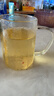 雅集玻璃杯筑铭杯茶杯泡茶杯带过滤木盖喝水杯子玻璃杯男士办公杯 实拍图