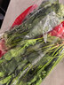大菠菜300g 实拍图