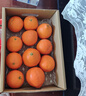 京鲜生 四川爱媛38号果冻橙 净重5斤 单果150g起 生鲜柑橘桔子水果礼盒 实拍图