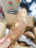 京鲜生山东哈密冰糖薯净重3斤精单果150g+烤地瓜白心薯蔬菜源头直发包邮 实拍图