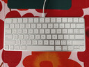 Apple/苹果 妙控键盘-中文 (拼音) 轻薄苹果键盘蓝牙键盘无线键盘办公键盘 实拍图