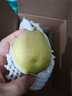 京鲜生 新疆特级库尔勒香梨 净重5斤单果120g以上 生鲜水果 实拍图