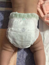 babycare金山茶花婴儿纸尿裤mini装S30片(4-8kg)新生儿尿不湿【新老混发】 实拍图