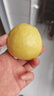 京觅福建奶油芭乐 番石榴 单果150g起 净重4.5斤装 源头直发包邮 实拍图