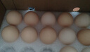 京鲜生富硒鲜鸡蛋30枚 3斤 源头直发 实拍图