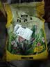 营养土养花种菜土壤有机兰花植物盆栽种植椰砖土 【推荐】营养土20斤（混入多菌灵 实拍图