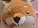 名创优品（MINISO）柴犬系列毛绒公仔趴姿玩具娃娃抱枕睡觉卧室办公室午睡枕生日礼物 实拍图