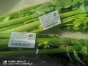大芹菜约400g 实拍图