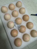 京鲜生 无抗保洁鲜鸡蛋30枚/盒 健康轻食 礼盒送礼 1.5kg/盒 源头直发 实拍图