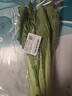 小白菜约250g 实拍图
