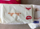 好奇（Huggies）软萌星人柯基裤拉拉裤XXL26片(15kg以上)尿不湿【软糯贴贴】 实拍图