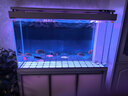 森森（SUNSUN）大型鱼缸底过滤水族箱客厅家用落地玻璃生态金鱼缸 超白款升级底滤 1.2米长35cm宽（黑白灰可选） 实拍图