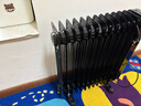 先锋石墨烯取暖器电暖器电暖气片家用电热油汀13片全屋升温智能恒温低噪节能烘衣加湿DYT-Z2 实拍图