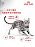 皇家成猫猫粮 营养均衡 F32 通用粮 1-7岁 4.5KG 实拍图
