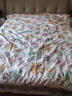 洁丽雅A类抗菌纯棉被套100%全棉磨毛加厚学生宿舍被罩凌霄苏语200*230cm 实拍图