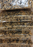 红谷林全麦黑芝麻饼干208g*2袋 咸味苏打饼干无蔗糖粗粮饱腹休闲零食 实拍图
